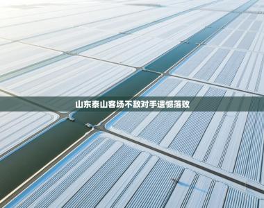 山东泰山客场不敌对手遗憾落败