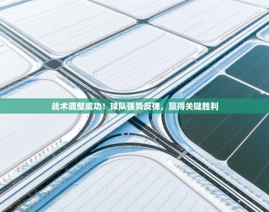 战术调整成功！球队强势反弹，赢得关键胜利