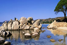 联赛赛制调整，球员备战增添挑战