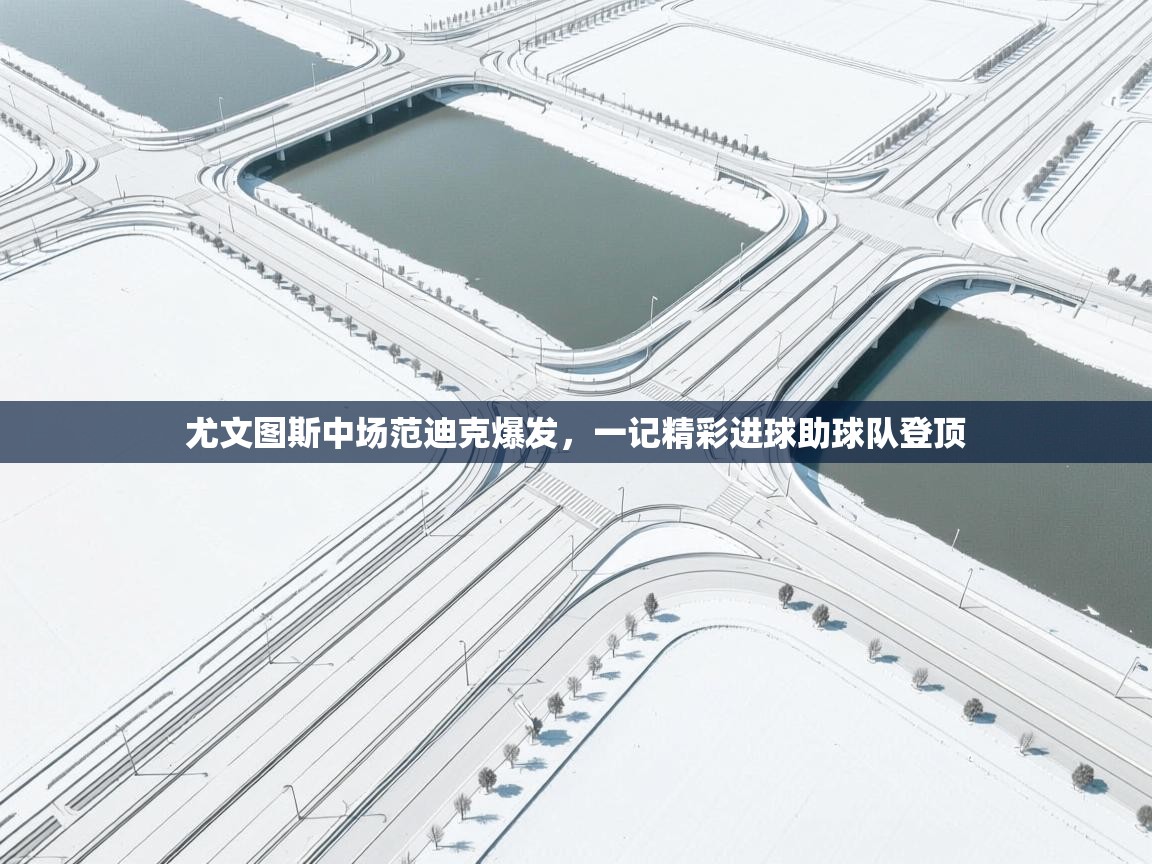 尤文图斯中场范迪克爆发，一记精彩进球助球队登顶  第1张