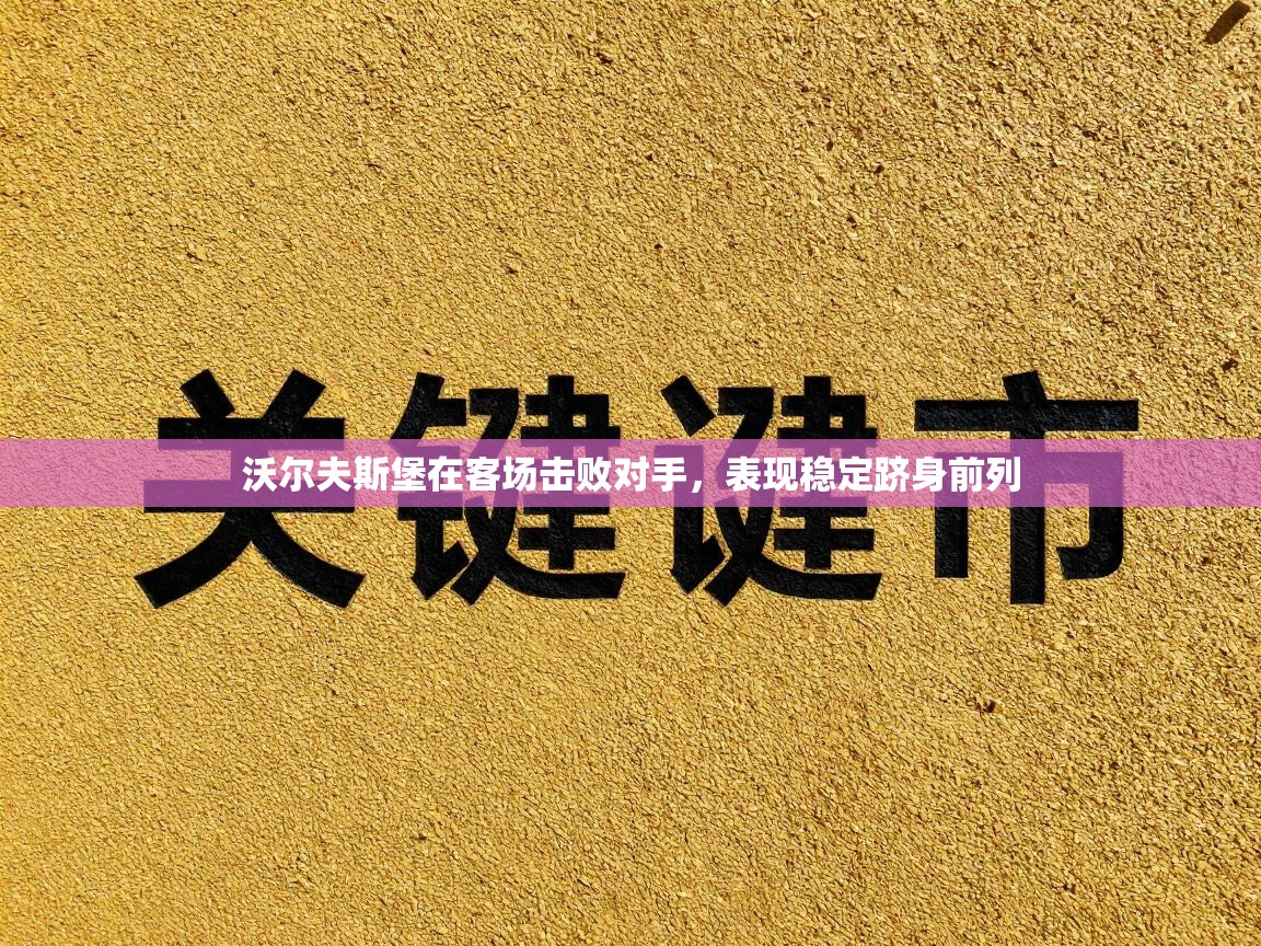 沃尔夫斯堡在客场击败对手,表现稳定跻身前列 第1张