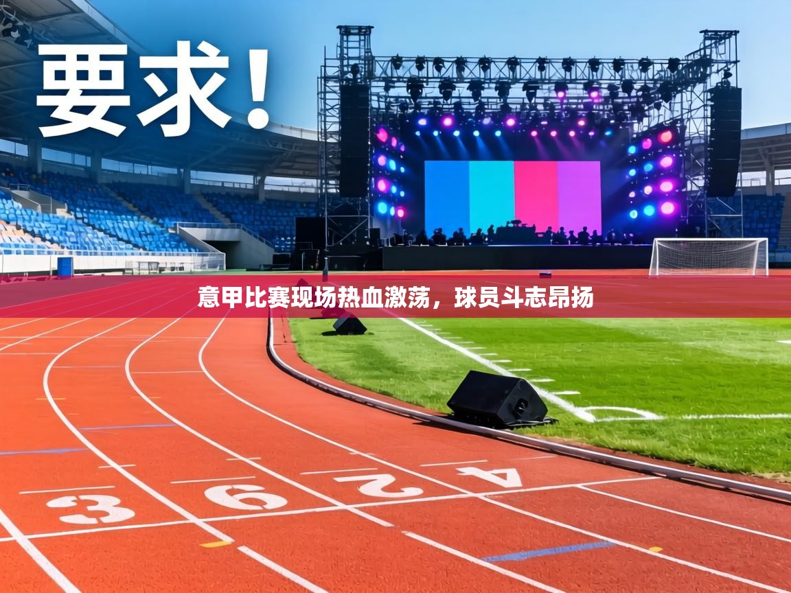 意甲比赛现场热血激荡，球员斗志昂扬  第1张