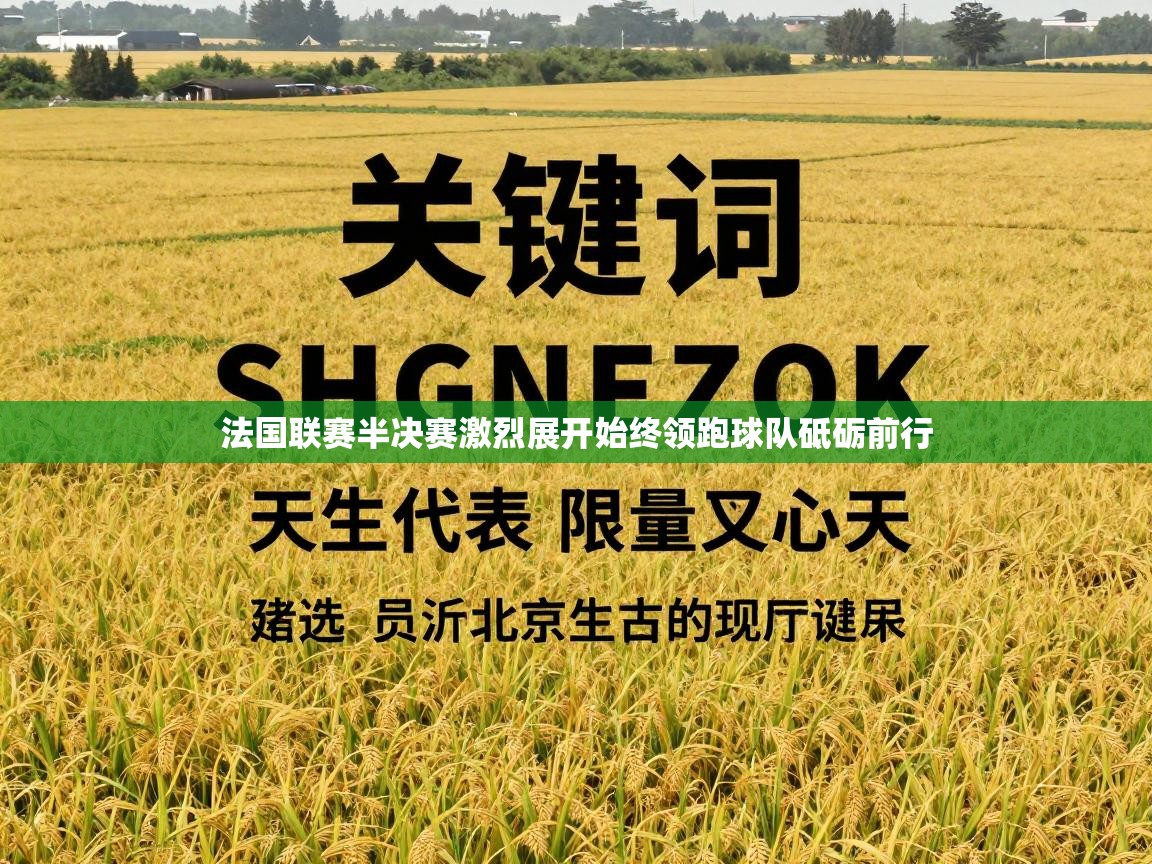 法国联赛半决赛激烈展开始终领跑球队砥砺前行  第2张
